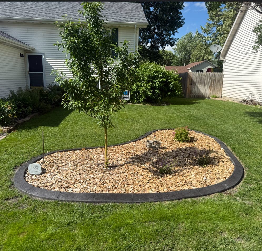 Curved stamped-concrete border wrapping a mulched tree bed in Grand Forks